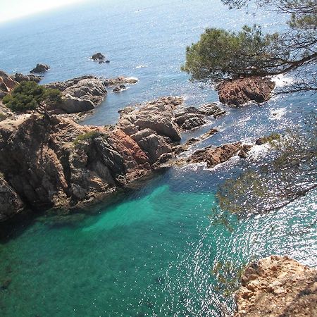 Laura La Fosca Palamós Quarto foto