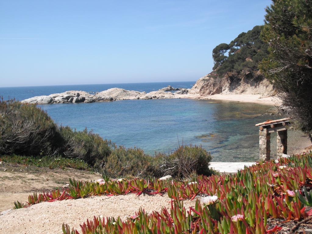 Laura La Fosca Palamós Quarto foto