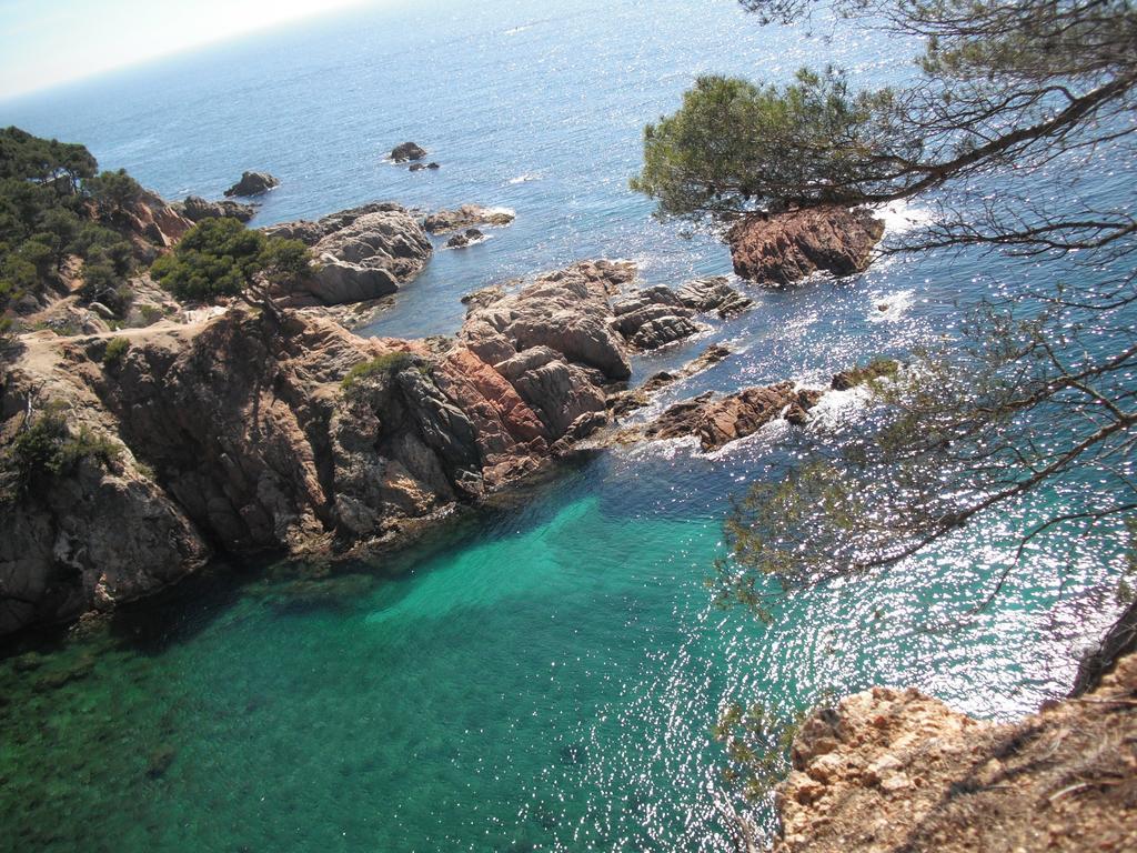Laura La Fosca Palamós Quarto foto